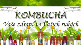 Kombucha